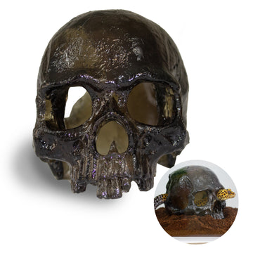Semi-Translucent Skull Reptile Hide - two variations